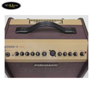 amplifier-fishman-loudbox-mini-60w-bluetooth