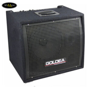 amplifier-goldea-kb-80