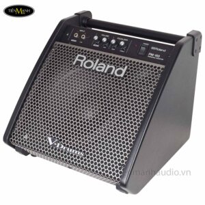 loa-trong-roland-pm-100-amplifier-combo